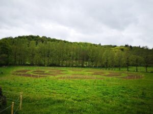 IMG_20190509_153031-min