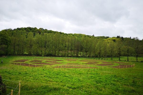 2018: achat de terres agricoles, dans la vallée de Solignac, pour cultiver rosiers, iris, verveine, arnica et intégrer l’extraction huileuse en interne