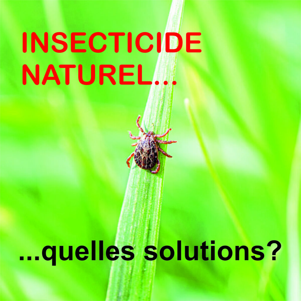 Quels insecticides utiliser ?