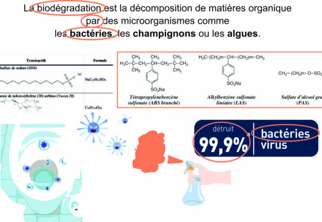 Les détergents sont ils réellement biodégradable ?